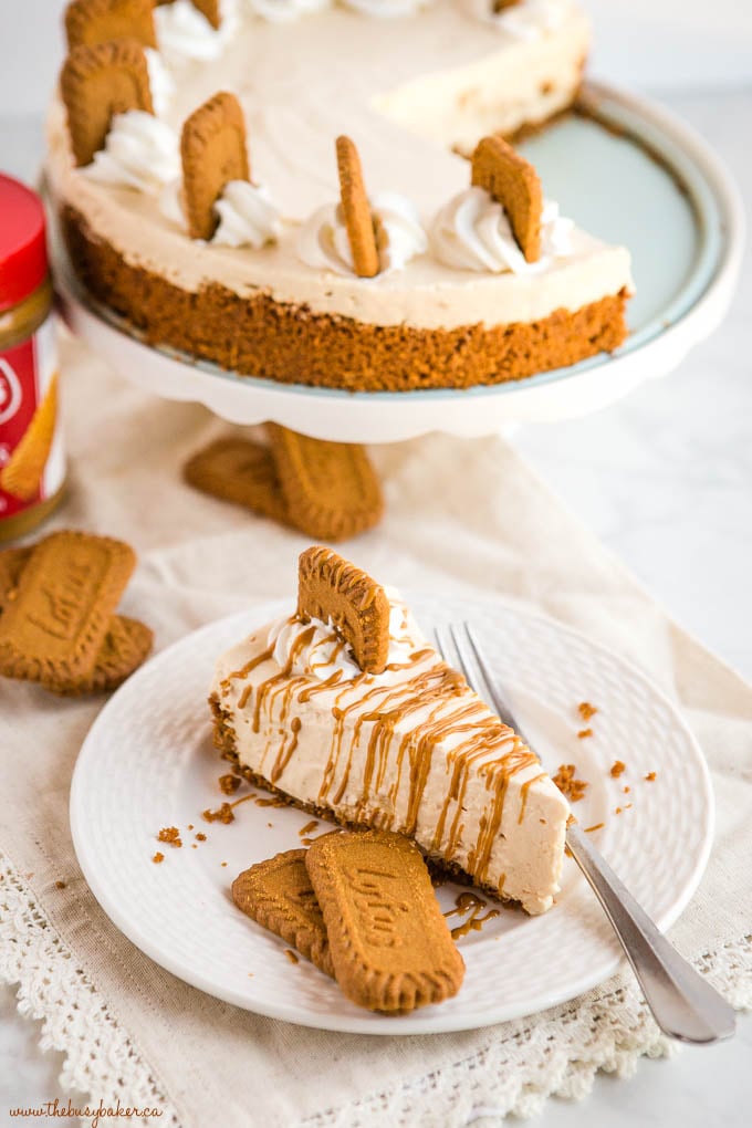 Easy No Bake Speculoos Cookie Butter Cheesecake