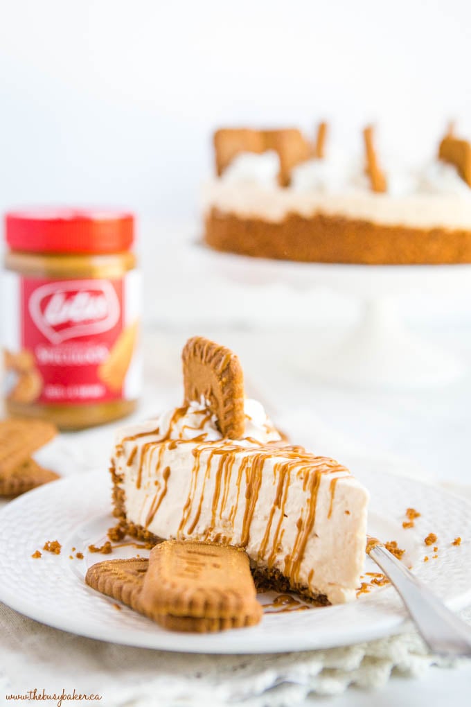 Easy No Bake Speculoos Cookie Butter Cheesecake