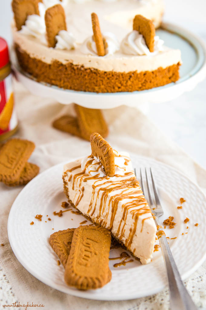 Easy No Bake Speculoos Cookie Butter Cheesecake