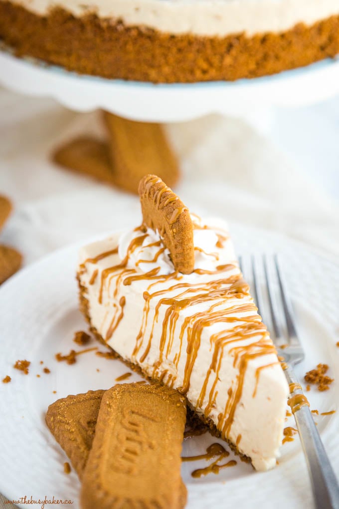 Easy No Bake Speculoos Cookie Butter Cheesecake