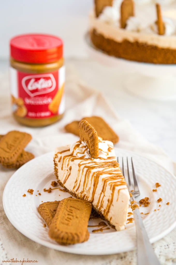 slice of Easy No Bake Speculoos Cookie Butter Cheesecake