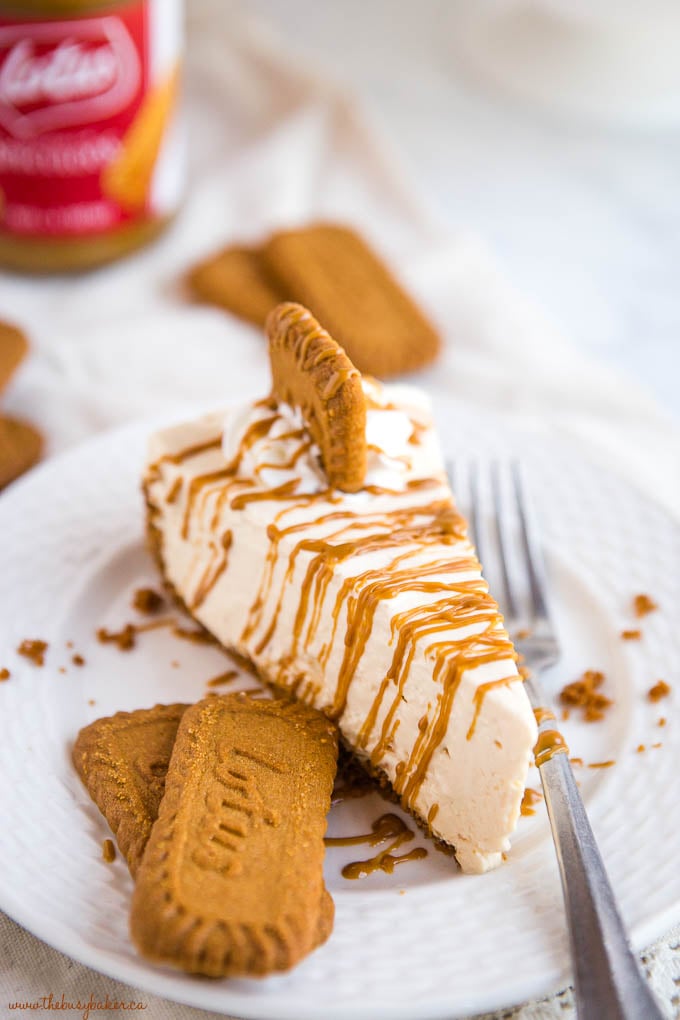 Easy No Bake Speculoos Cookie Butter Cheesecake