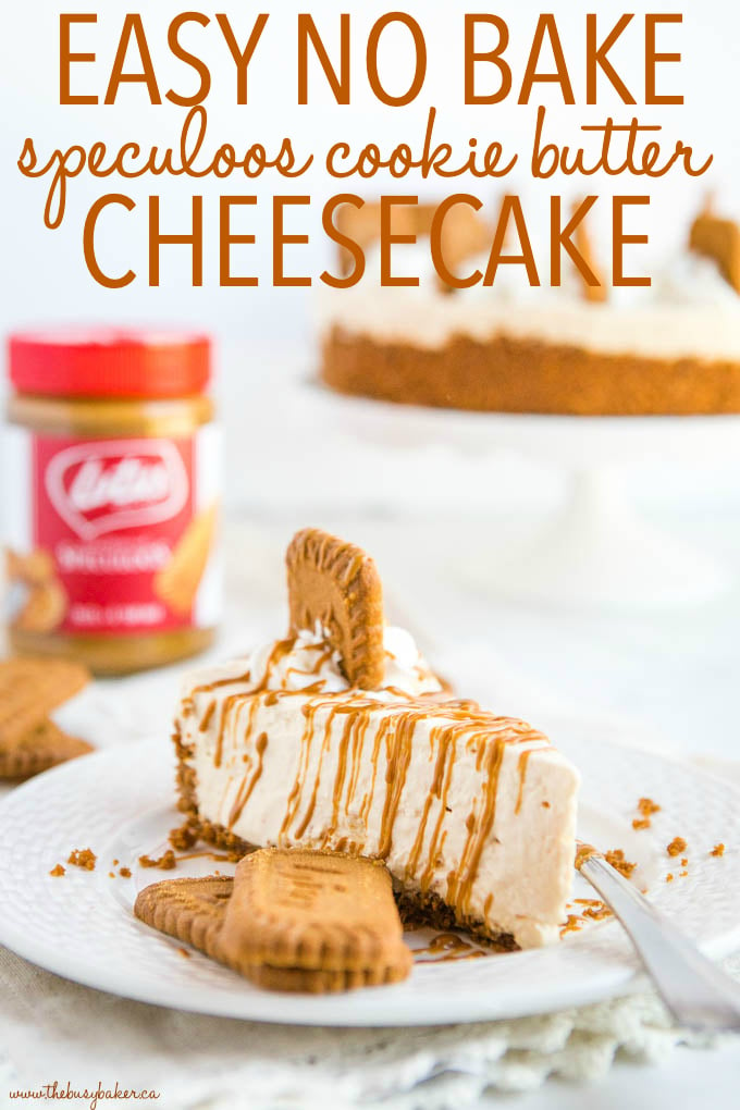 Easy No Bake Speculoos Cookie Butter Cheesecake