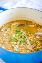 Dairy-Free White Chicken Chili {Easy Chili Recipe} - The Busy Baker