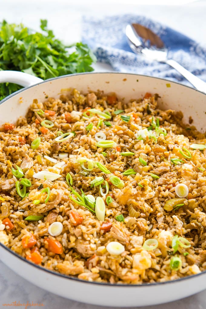 chicken fried rice in white pan