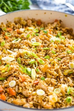 Chicken Fried Rice - The Busy Baker