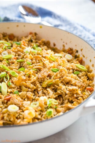 Chicken Fried Rice - The Busy Baker