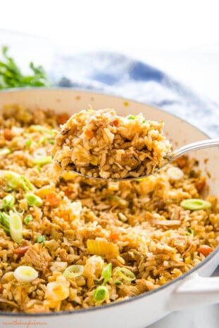 Chicken Fried Rice - The Busy Baker