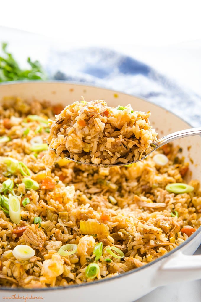 chicken fried rice on spoon
