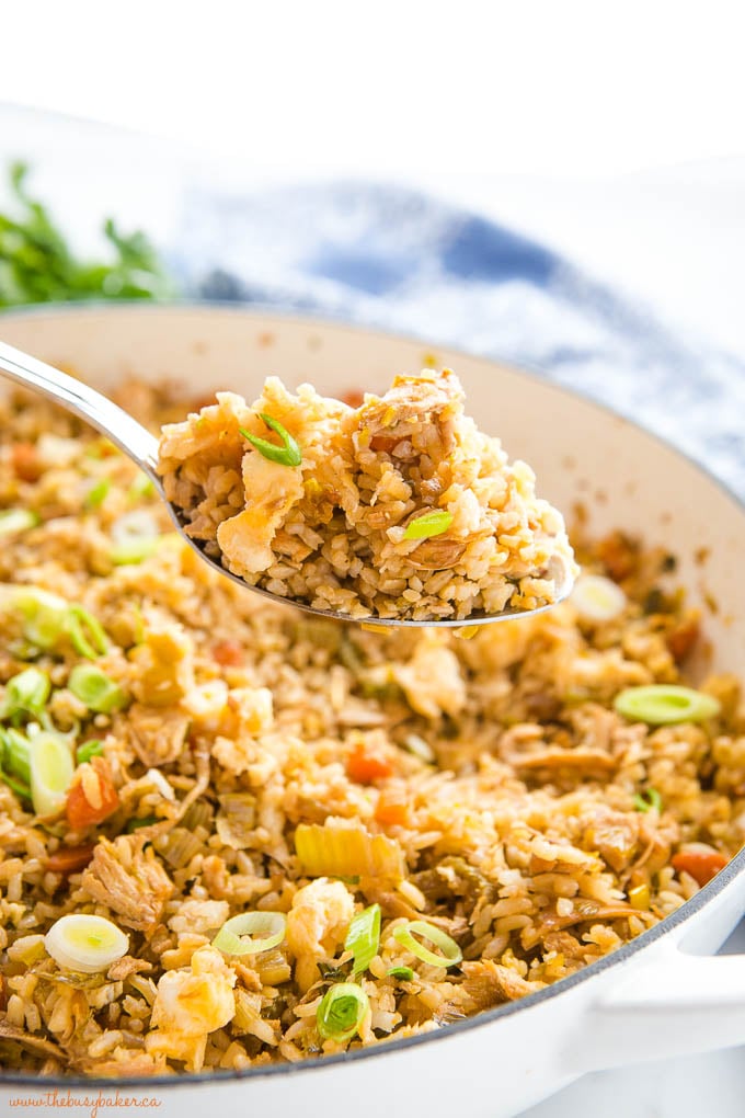 spoonful of quick and easy chicken fried rice