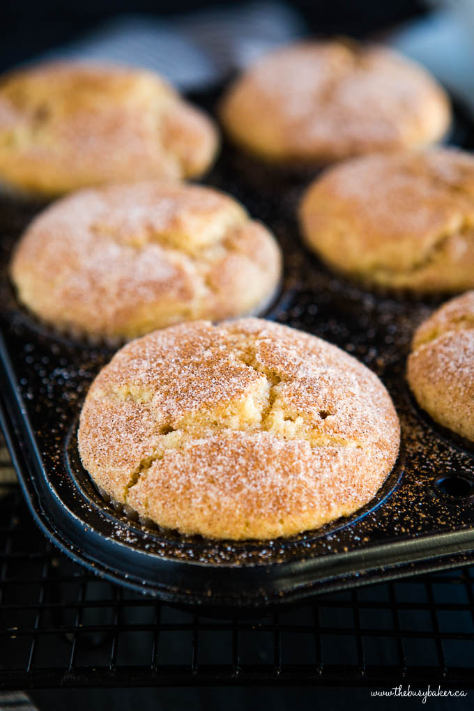 cupcake pan full of freshly baked cinnamon sugar muffins