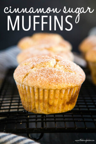 Cinnamon Sugar Muffins {Easy Muffin Recipe} - The Busy Baker