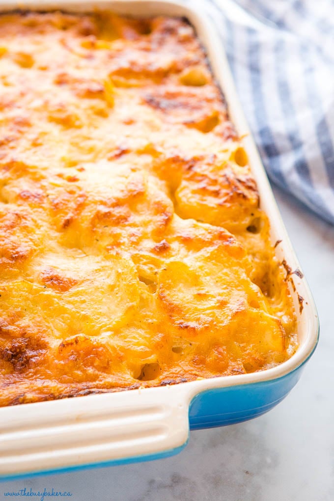 classic scalloped potatoes in blue casserole dish