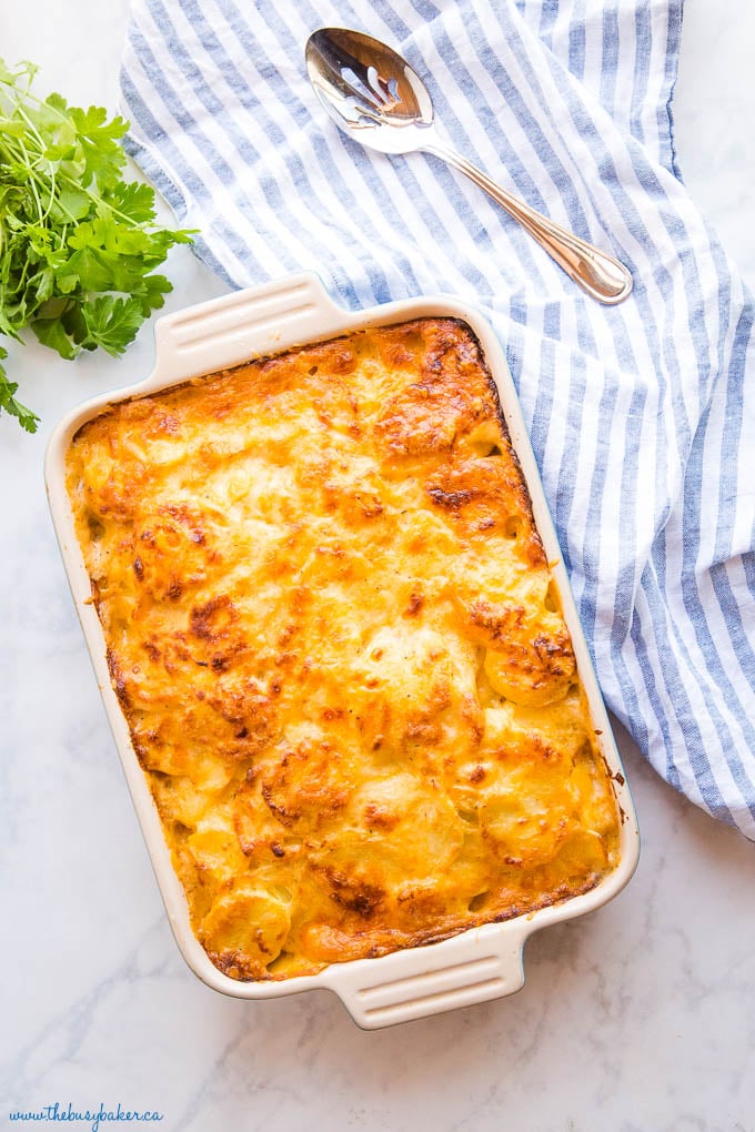 classic scalloped potatoes in casserole dish with fresh herbs