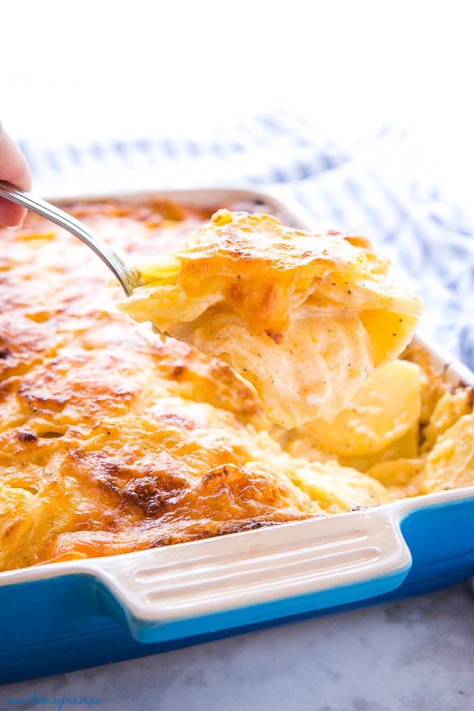 spoonful of creamy potato side dish being served from blue casserole dish