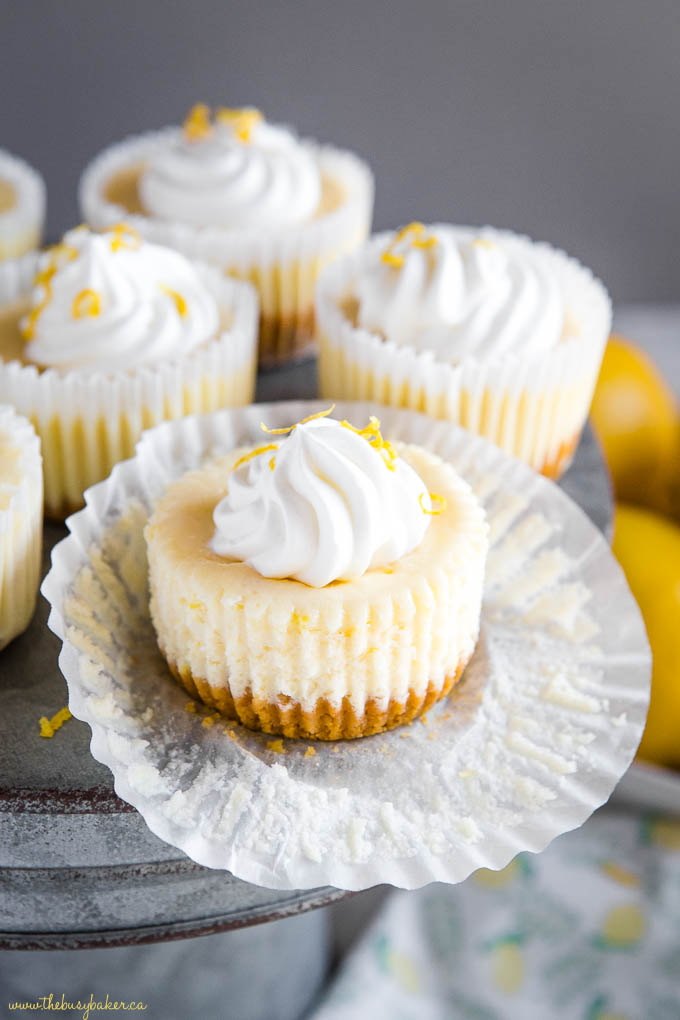 mini lemon cheesecake with whipped cream and lemon zest