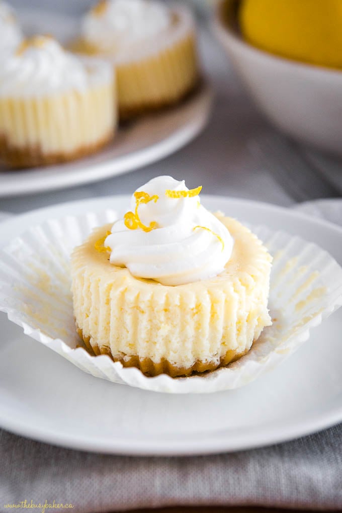 mini lemon cheesecake on plate