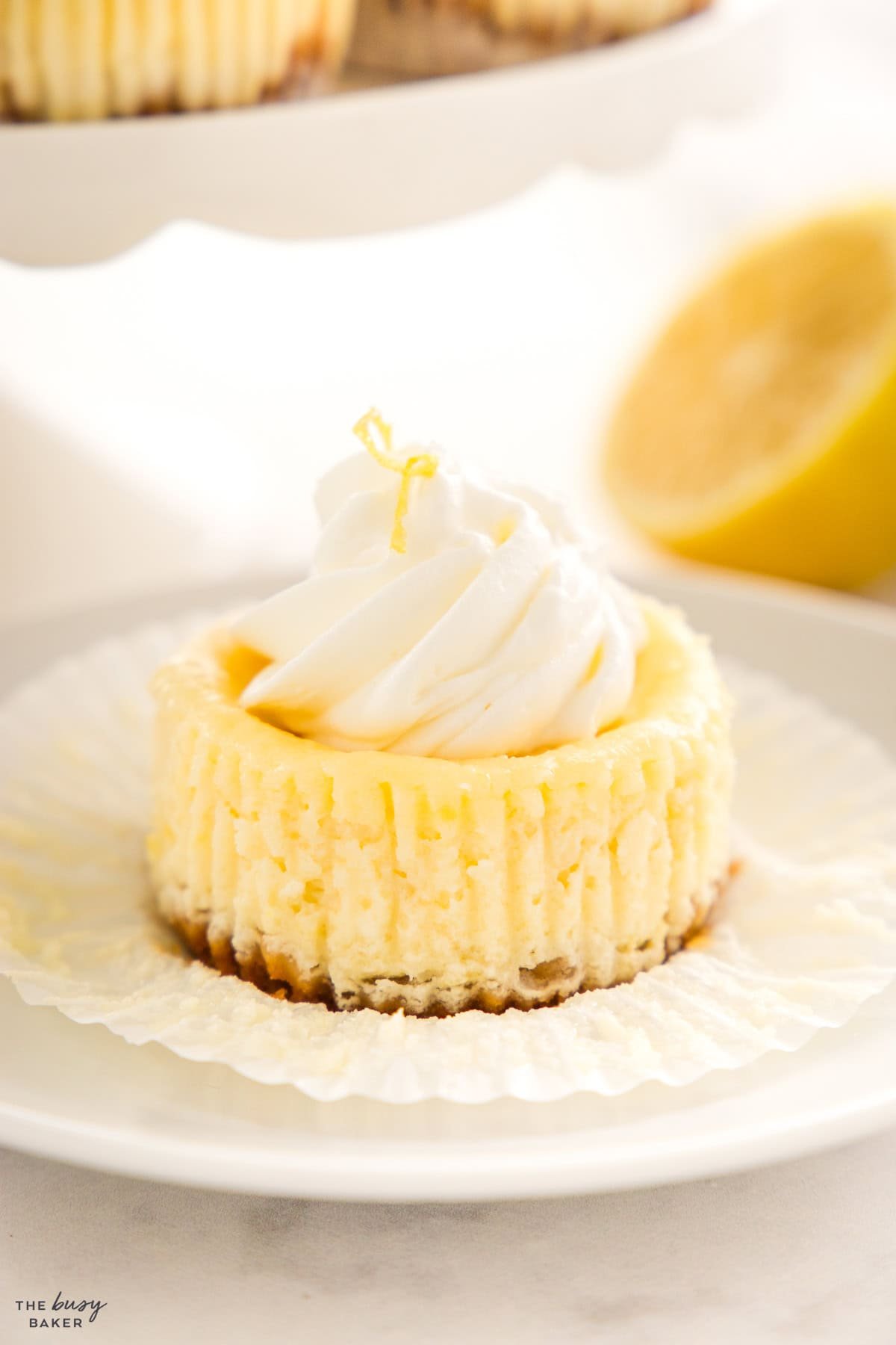 mini lemon cheesecakes with whipped cream topping