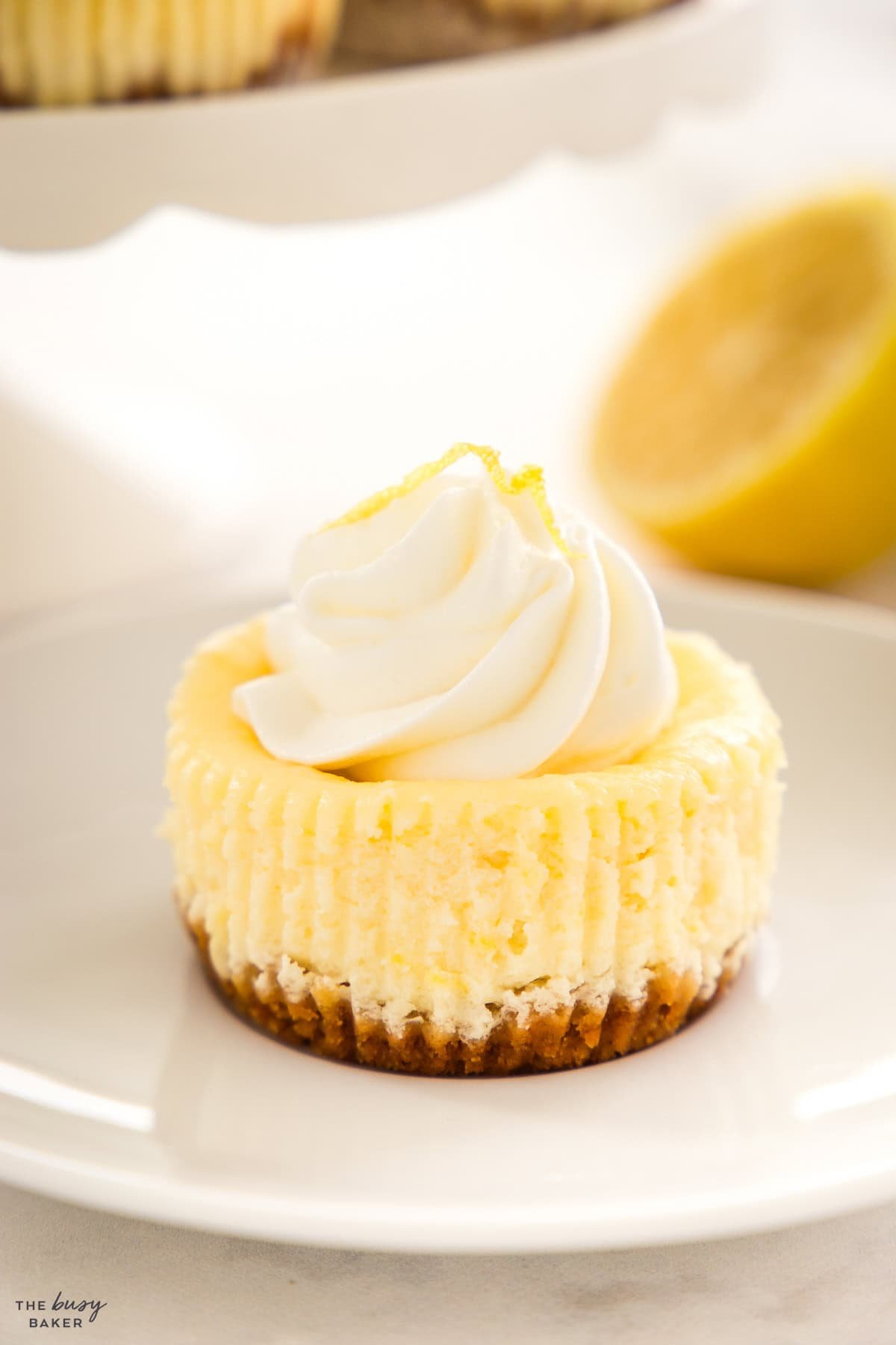 creamy lemon cheesecake with whipped cream