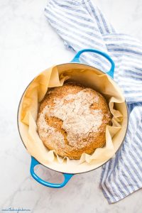 No Knead Whole Wheat Bread (Artisan Recipe) - The Busy Baker