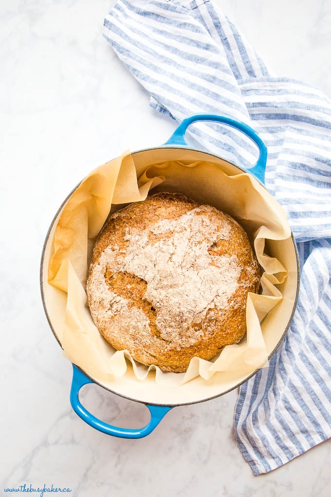 Instant Pot Whole Wheat Bread (No Knead!)