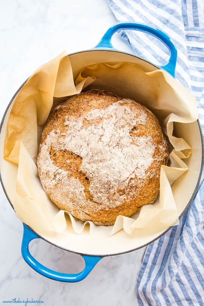 round loaf of whole wheat artisan bread in blue dutch oven