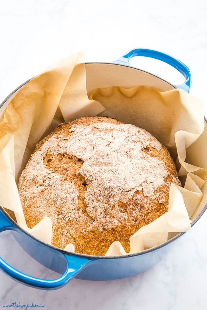 No-Knead Whole Wheat Dutch Oven Bread