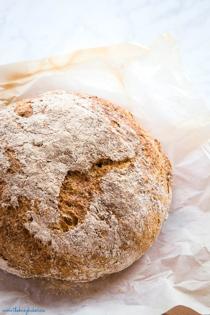 one of many no knead bread variations - round loaf of artisan whole wheat