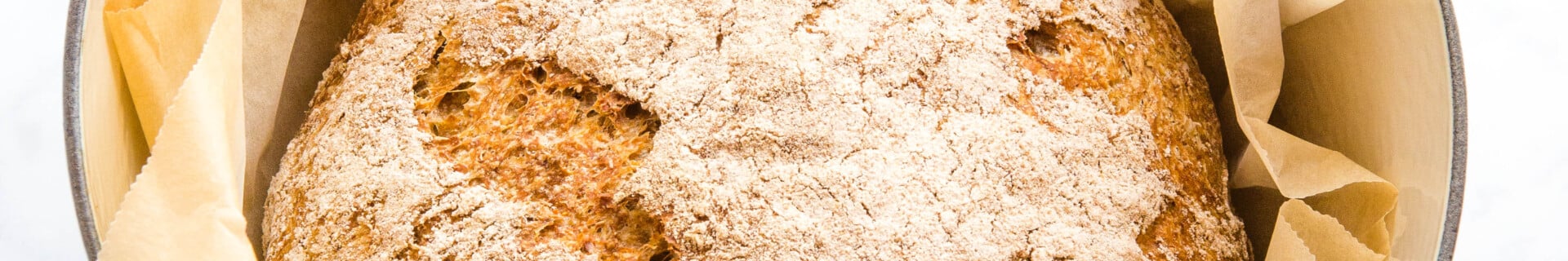 no knead whole wheat bread in blue dutch oven