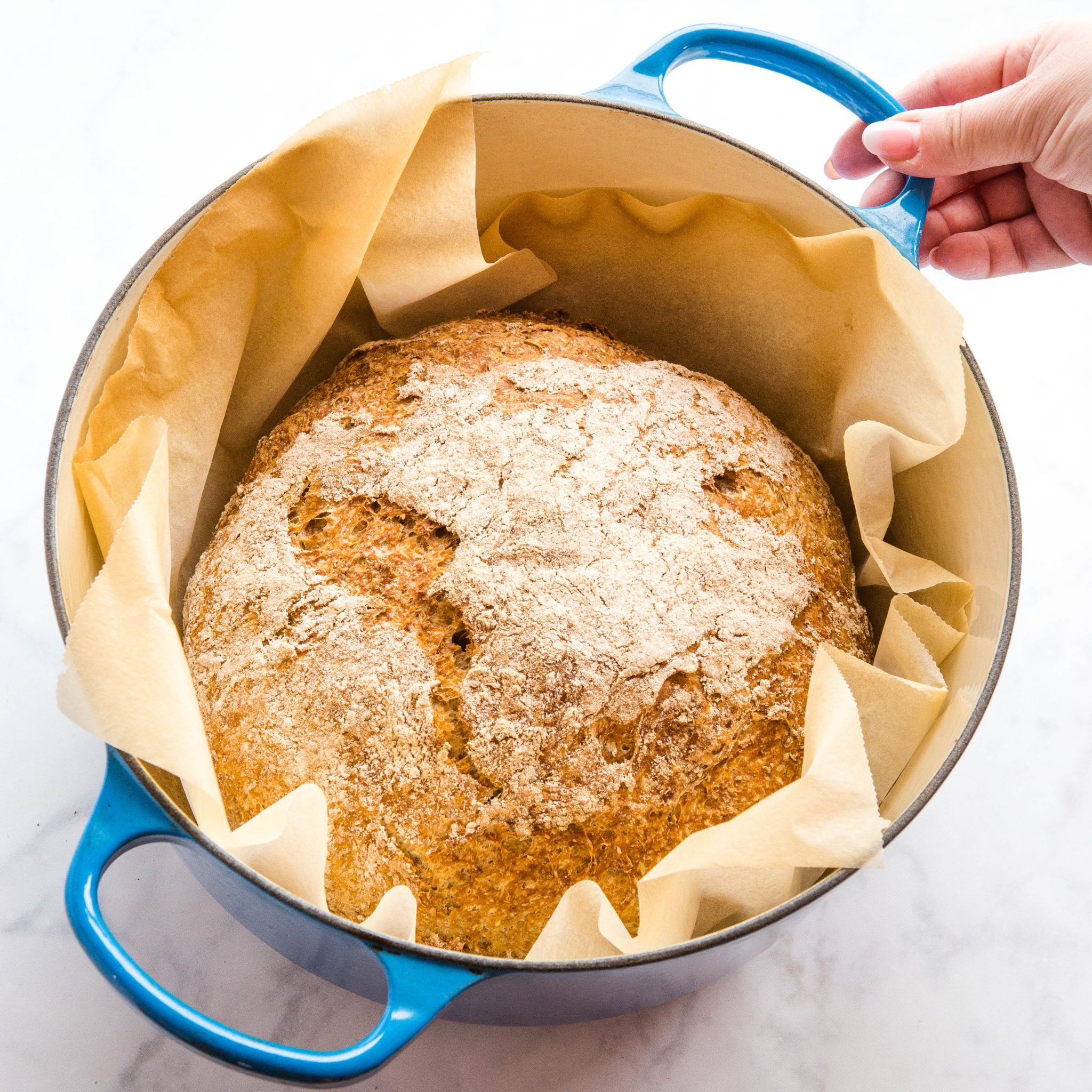 No Knead Artisan Bread (Honey Oat Recipe) - The Busy Baker