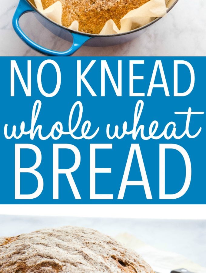 No Knead Whole Wheat Bread (Artisan Recipe) - The Busy Baker