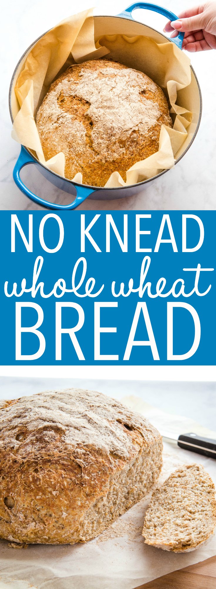 Top 10 No Knead Whole Wheat Bread Recipe