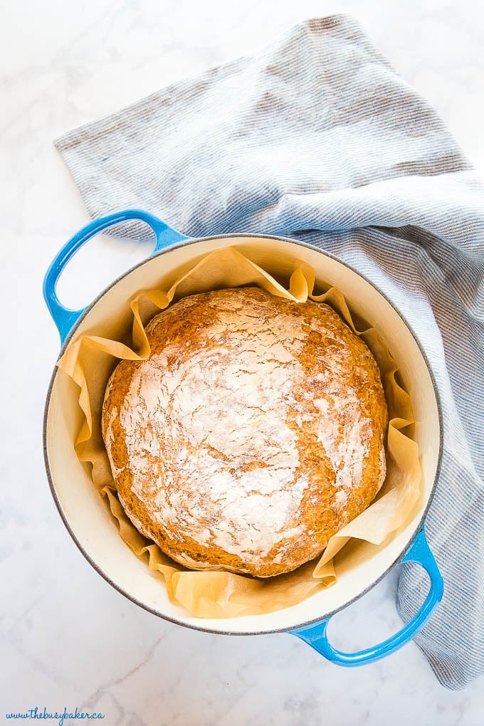 loaf of crusty bread in blue pot