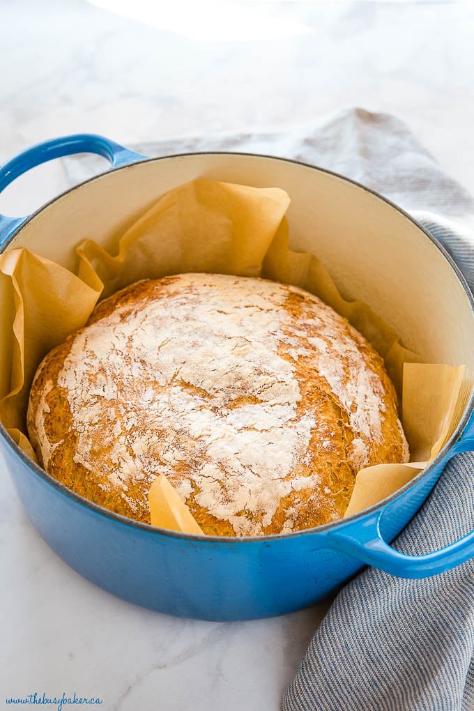 Dutch Oven No Knead Bread (with perfect crusty crust!) - Bowl of Delicious