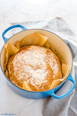 Quick No Knead Bread for Dutch Oven - 4 Ingredients! - The Busy Baker