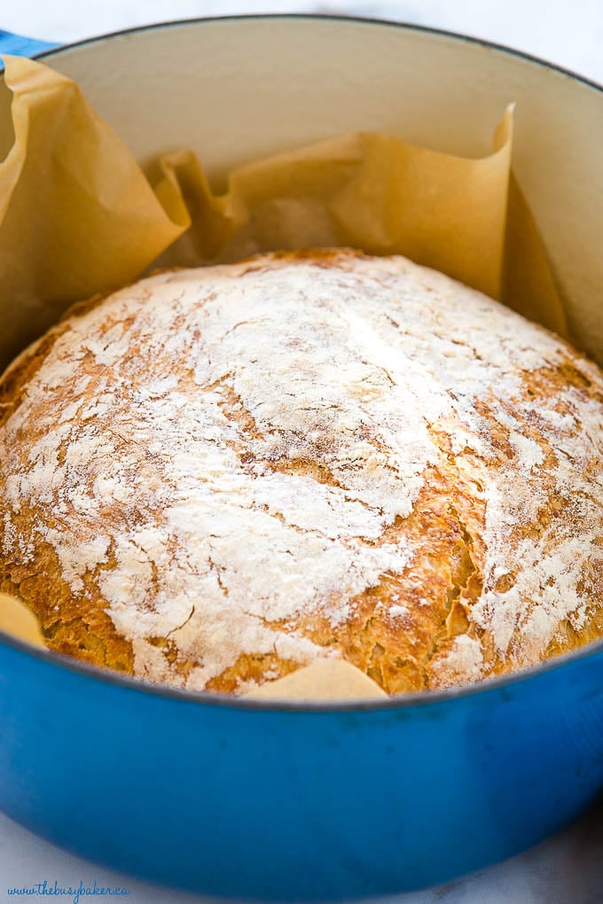 No-knead Dutch Oven Bread w/ Bread Basket - Catfish Out of Water