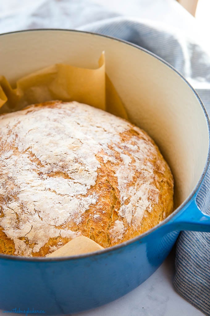 round, crusty loaf of homemade bread in blue Dutch oven