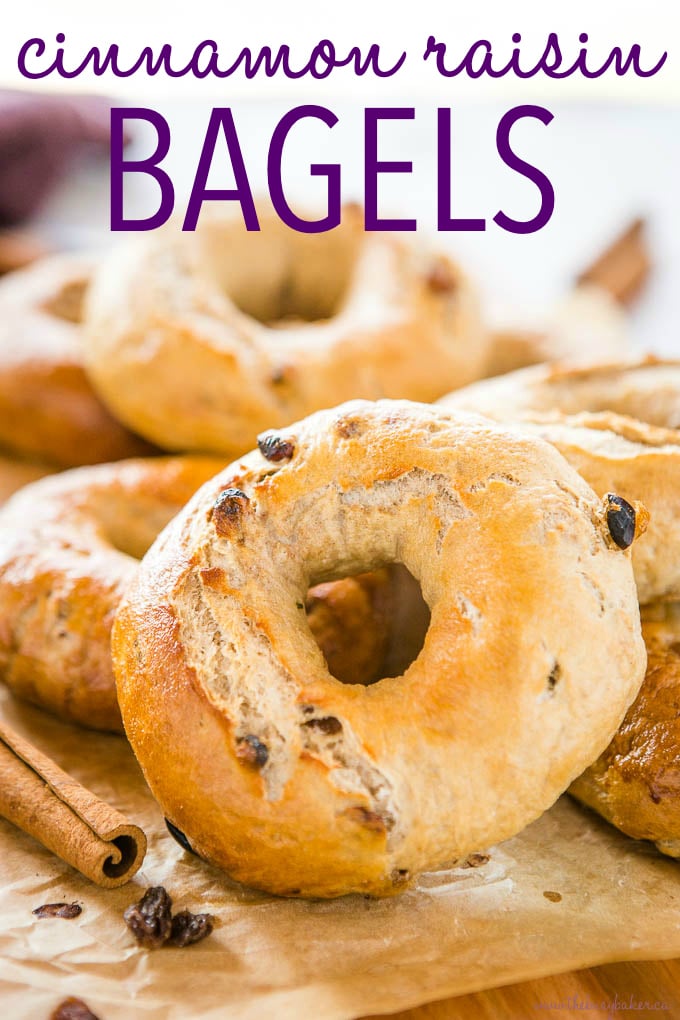 Easy Homemade Cinnamon Raisin Bagels The Busy Baker