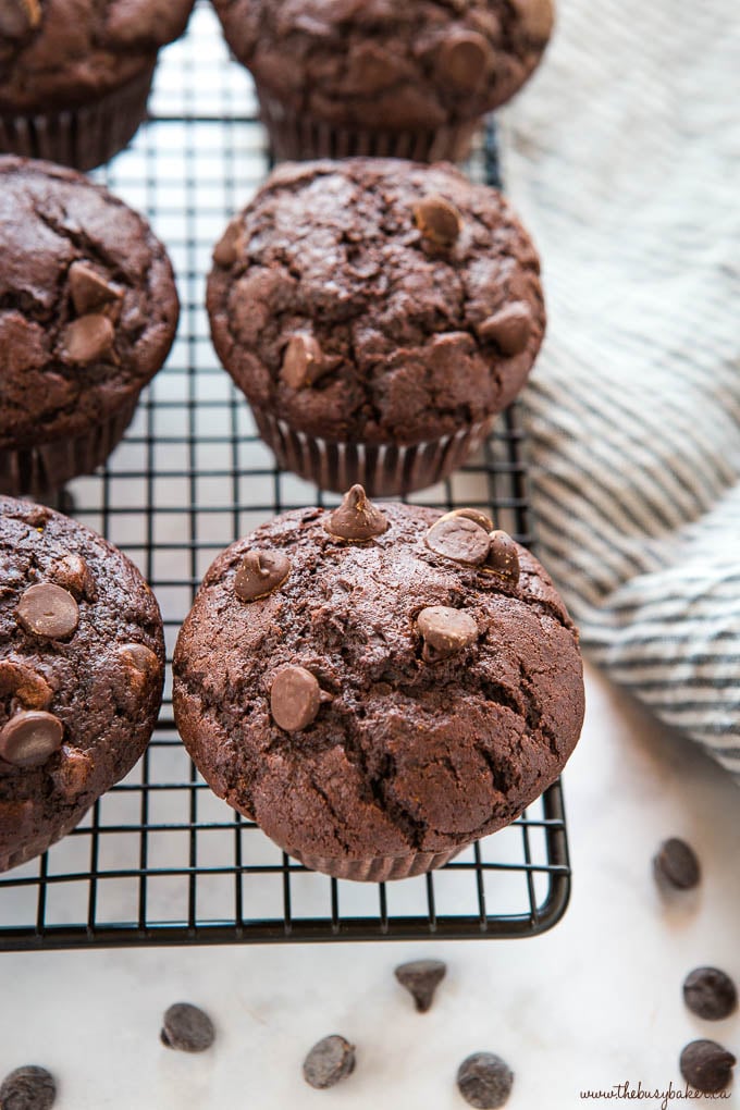 double chocolate chip muffins on black wire rack