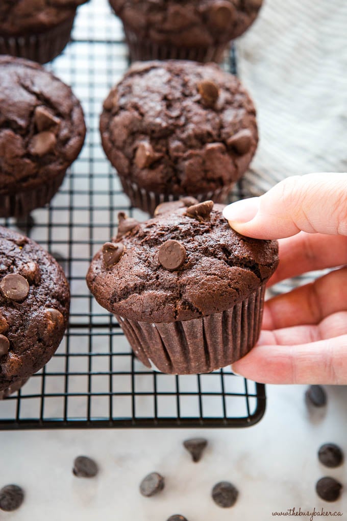 hand holding double chocolate muffin