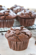 Best Ever Double Chocolate Chip Muffins - The Busy Baker