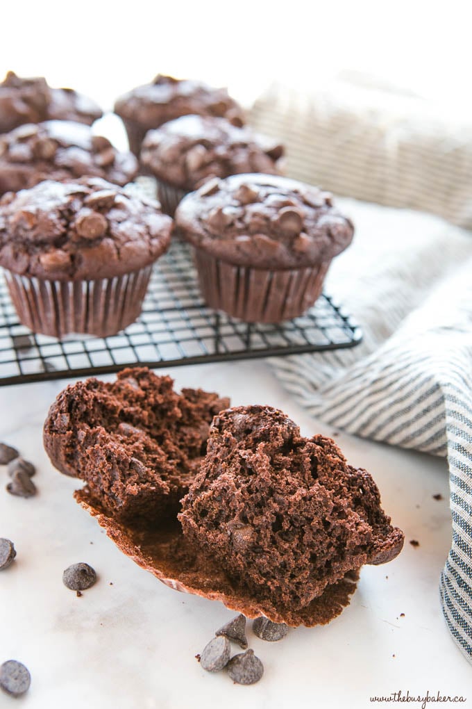 double chocolate chip muffin cut in half