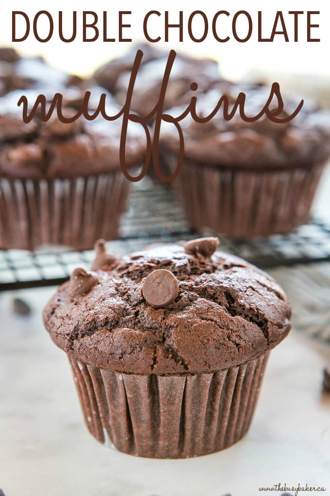 Double Chocolate Muffins - Pies and Tacos