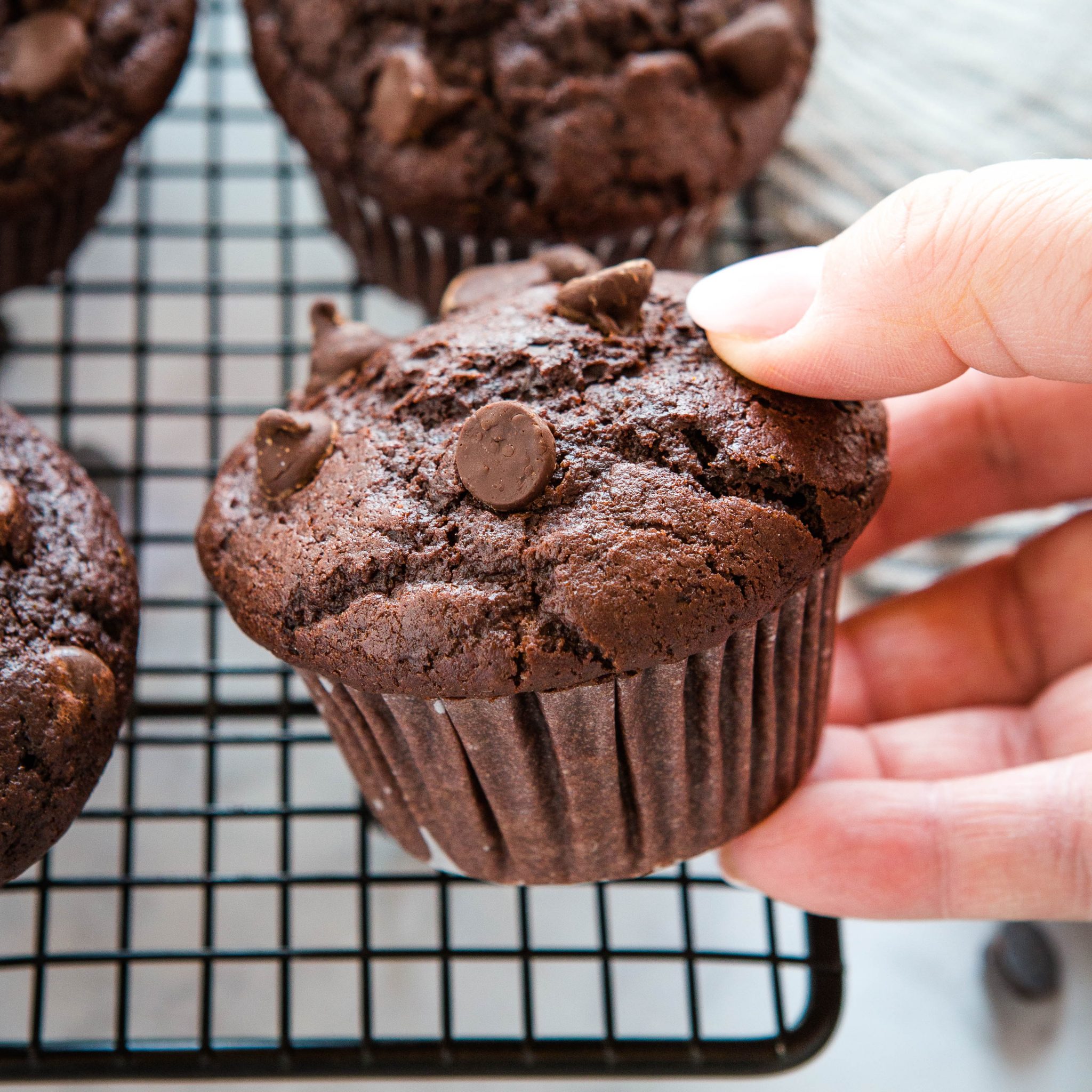 Best Ever Double Chocolate Chip Muffins - The Busy Baker