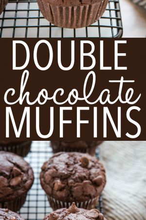 Best Ever Double Chocolate Chip Muffins - The Busy Baker