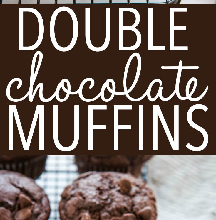 Best Ever Double Chocolate Chip Muffins - The Busy Baker