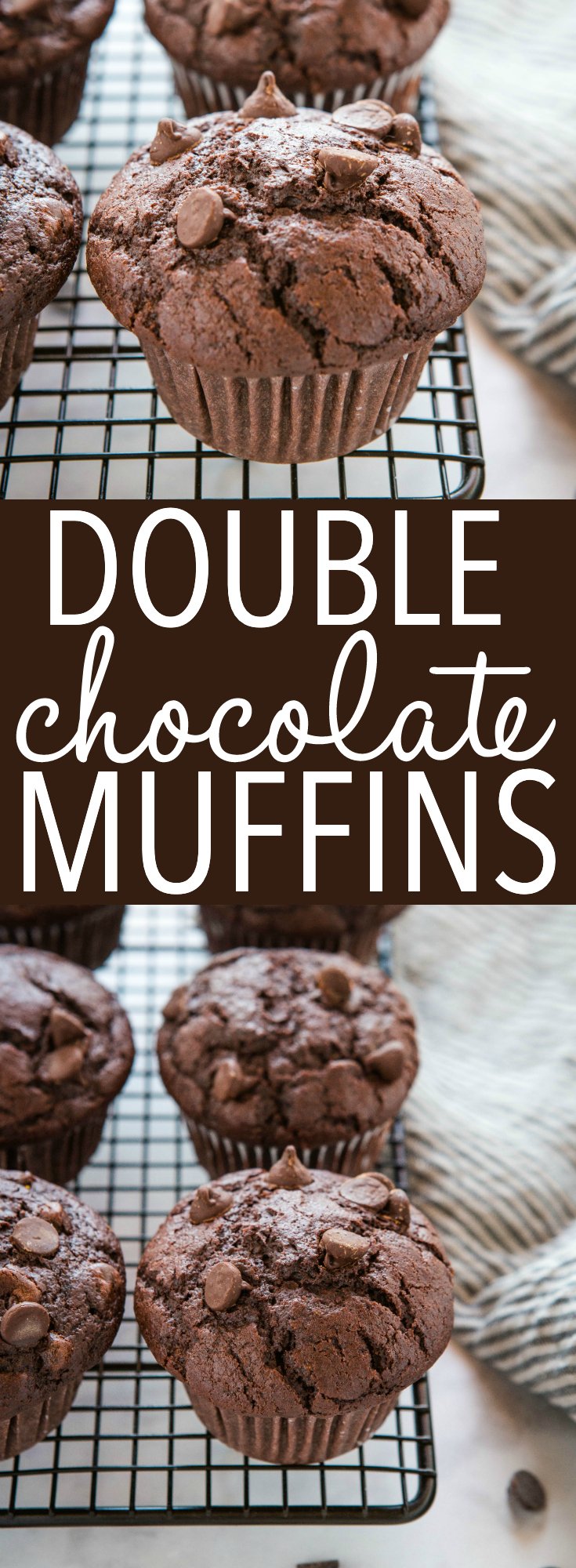 These Best Ever Double Chocolate Muffins are moist and chocolatey, and packed with chocolate chips! Easy to make in only one bowl! Recipe from thebusbaker.ca! #chocolate #doublechocolate #muffins #baking #afterschool #cake #recipe via @busybakerblog