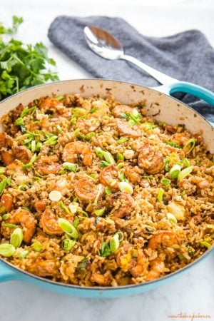 Easy One Pan Shrimp Fried Rice - The Busy Baker