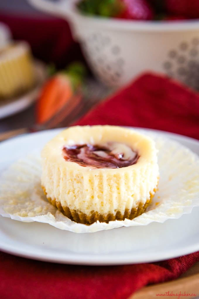 creamy mini cheesecake on white plate with cookie crust and strawberry jam swirl