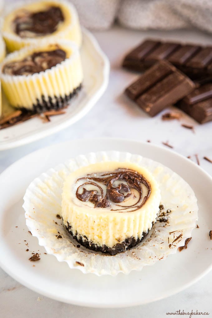 Easy Mini Chocolate Swirl Cheesecakes - The Busy Baker